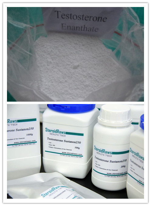 TE Testosterone Enanthate Raw Steroid Powders USP / BP / ISO9001 Standard